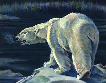 [animalwild012-PolarBear-Painting.jpg]