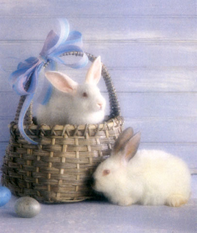[Bunny-EasterBasket-WhiteRabbits.jpg]