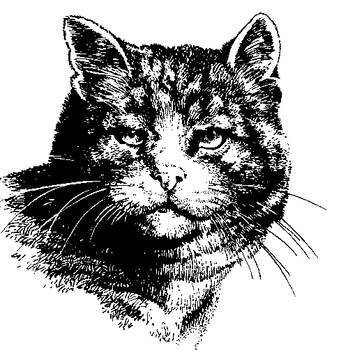 [Clipart_anml3171-HouseCat-Face.gif]