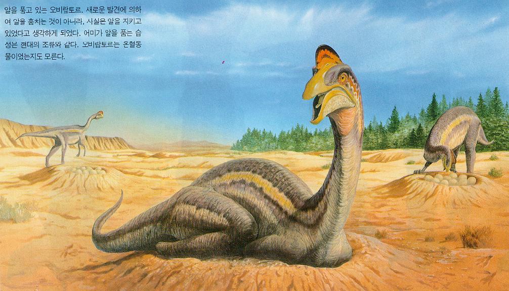 [Dinosaur-Oviraptor_J01.jpg]