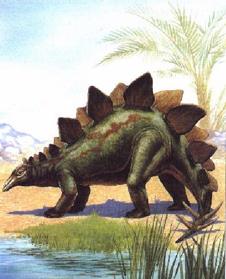 [Dinosaurus-Stegosaurus-BesideSwamp.jpg]