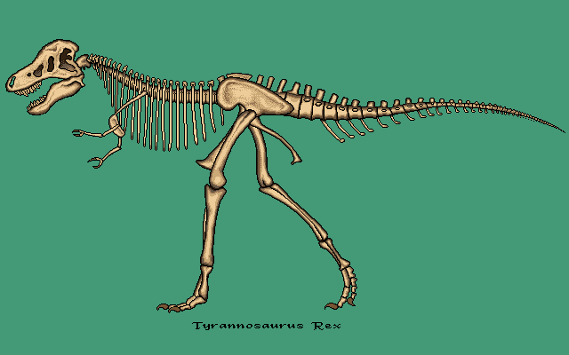 [DinosaurusSkeletonDrawing-Tyannosaurusrex-nim068.gif]