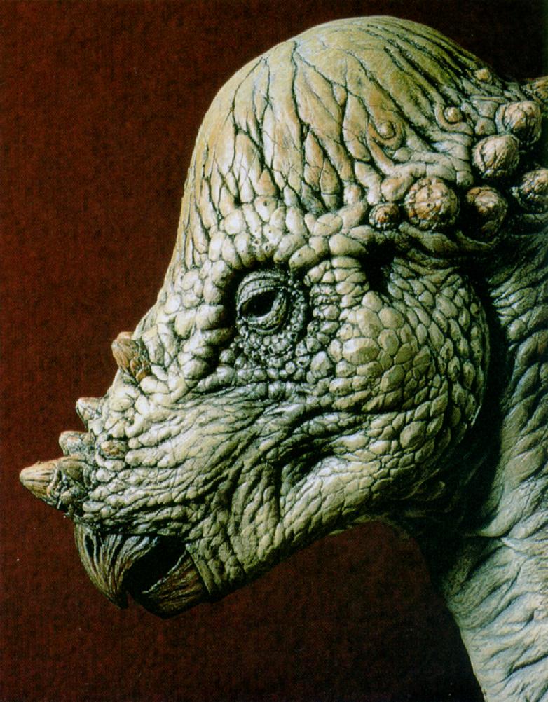 [Pachycephalosaurus_J01-Dinosaur-Face.jpg]