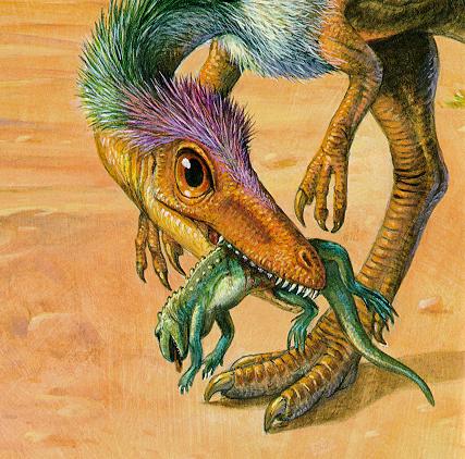 [Sinosauropteryx_J01a-FeatheredDinosaur-Face.jpg]