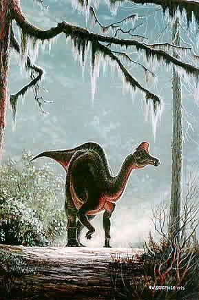 [d6-Hadrosaurus-Dinosaur.jpg]