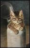 [FantasyCat-Kitten-cat17]