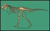 [DinosaurusSkeletonDrawing-Tyannosaurusrex-nim068]