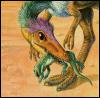 [Sinosauropteryx J01a-FeatheredDinosaur-Face]