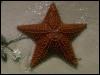 [BrownStarfish H01b0085]