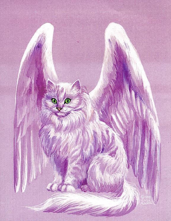 http://animals.timduru.org/dirlist/cat/FantasyCat-Angel.jpg