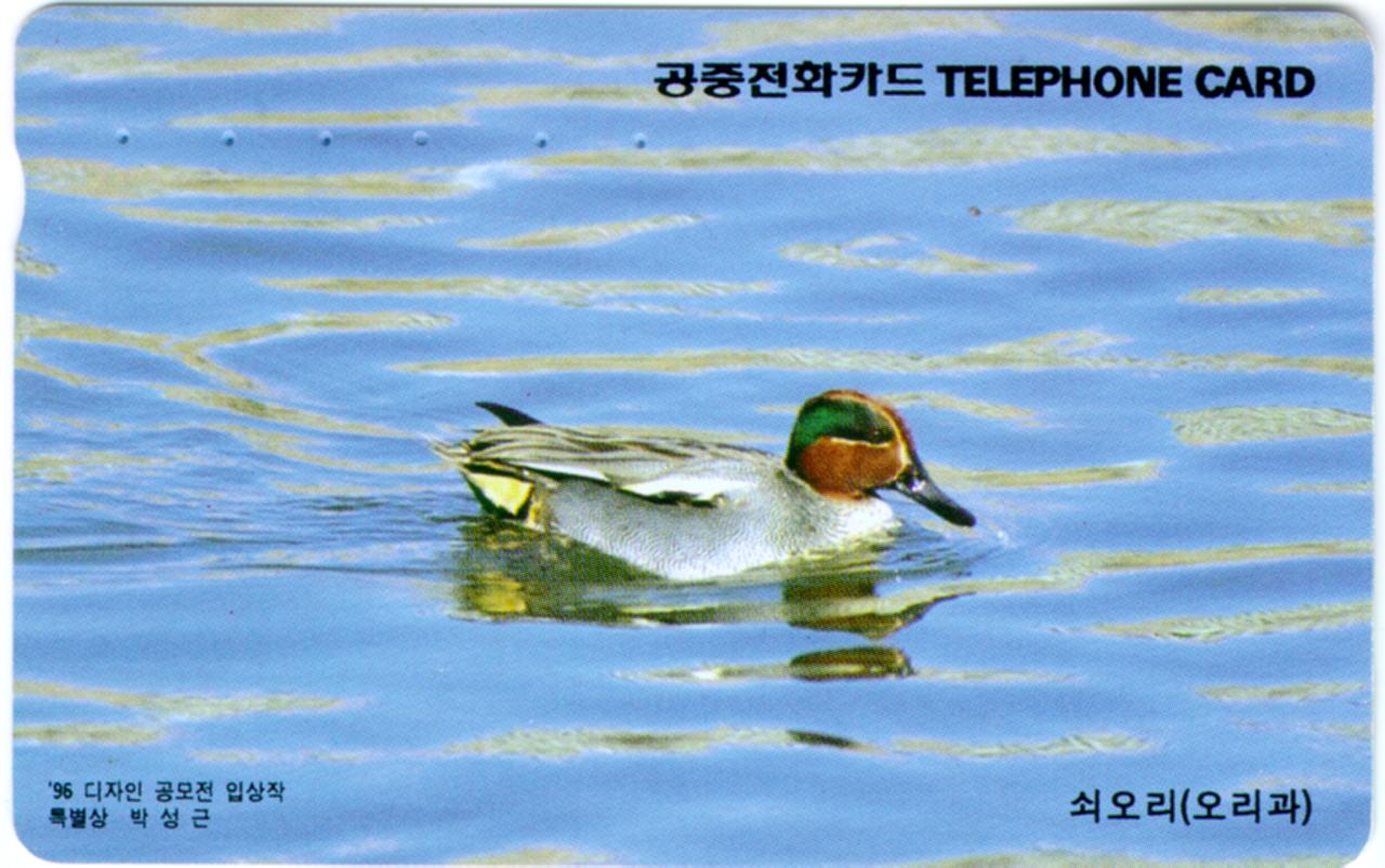 [KoreanBird-WildDuck-CommonTeal-Floating.jpg]
