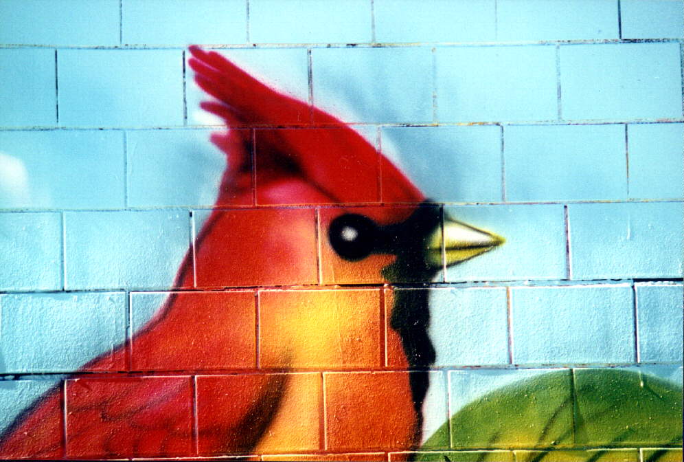 [MuralPainting_By_Chico-Cardinal-RedbirdHead.jpg]