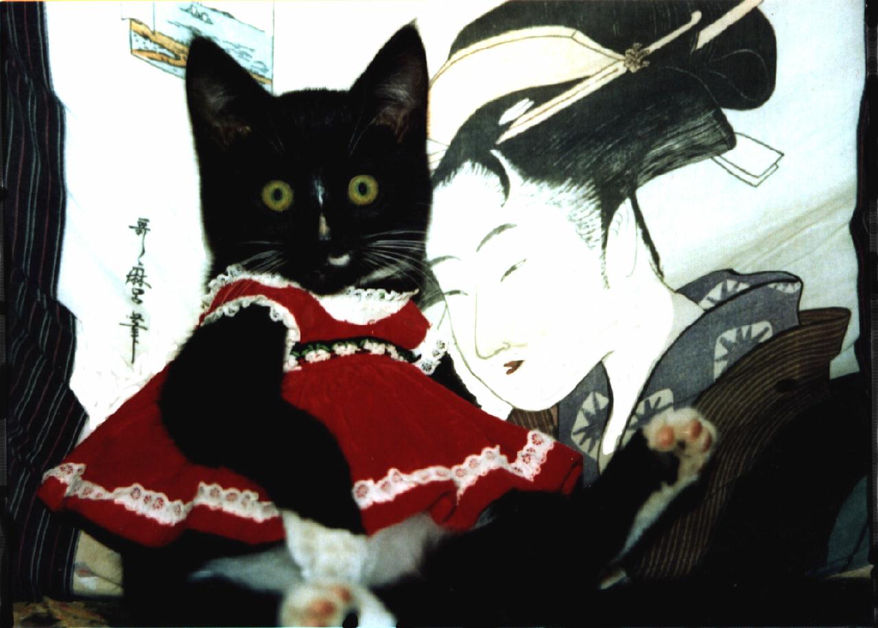[JapanesePainting-Cat-rashaan2.jpg]