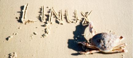 [Crab-linux-beach.jpg]