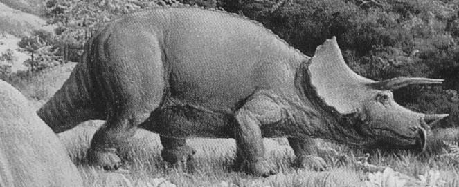 [DINO_Triceratops.jpg]
