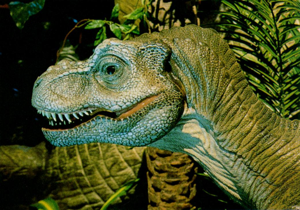 [Tyrannosaurus_rex_J01-Dinosaur-Face.jpg]