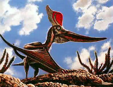 [d2-FlyingDinosaur-Pteranodon.jpg]