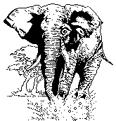 [MammalsClipart-Elephant01.gif]
