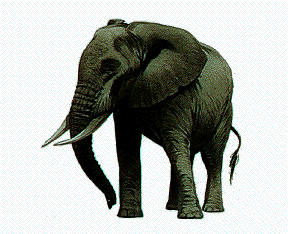 [MammalsClipart-Elephant03.gif]