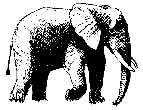 [MammalsClipart-Elephant_Tusk.gif]