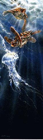 [GreenSeaTurtles_n_jellyfish-free_falling-lt.jpg]