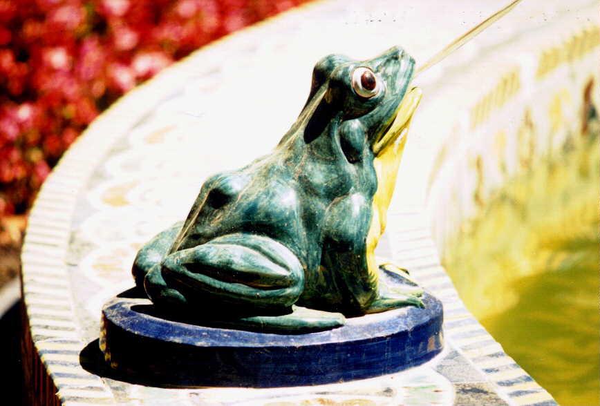 [frogSculpture-rana.jpg]