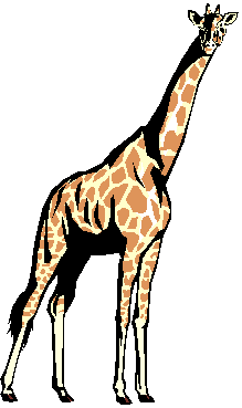 [Clipart-giraffe.gif]