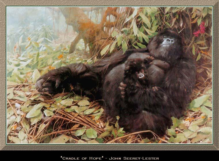 [wwart092-Gorillas-Mom_n_baby-Sleeping.jpg]