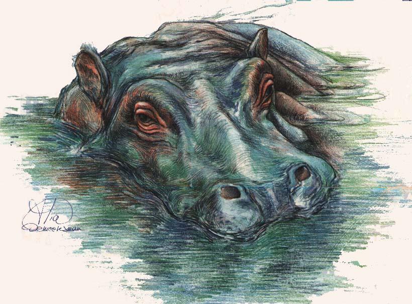 [hypo-Painting-Hippopotamus-Face.jpg]
