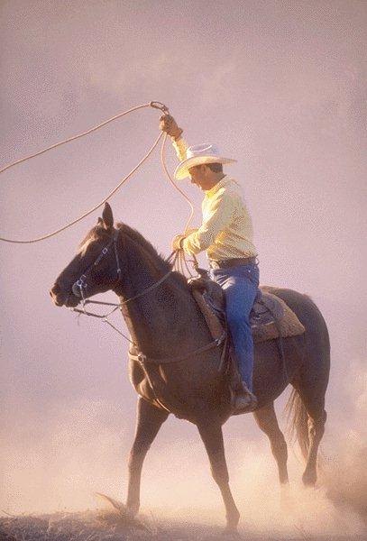 [Cowboy-Horse-15410036.jpg]