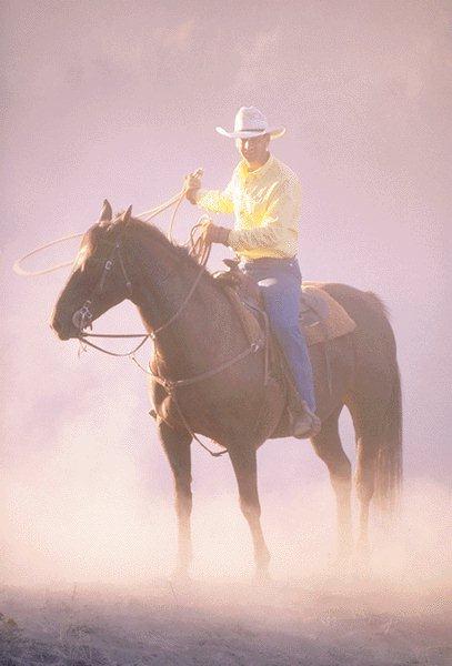 [Cowboy-Horse-InDust-15410078.jpg]
