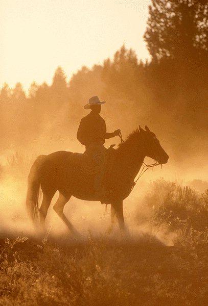 [Cowboy-InTheDust-Horse-15410083.jpg]