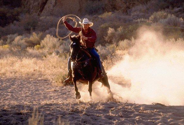 [Cowboy-Run-Horse-15410044.jpg]