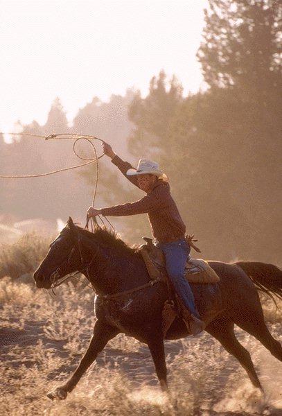 [Cowboy-Run-Horse-15410065.jpg]