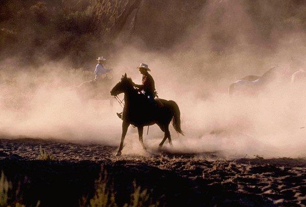 [Cowboys-Horses-15410073.jpg]