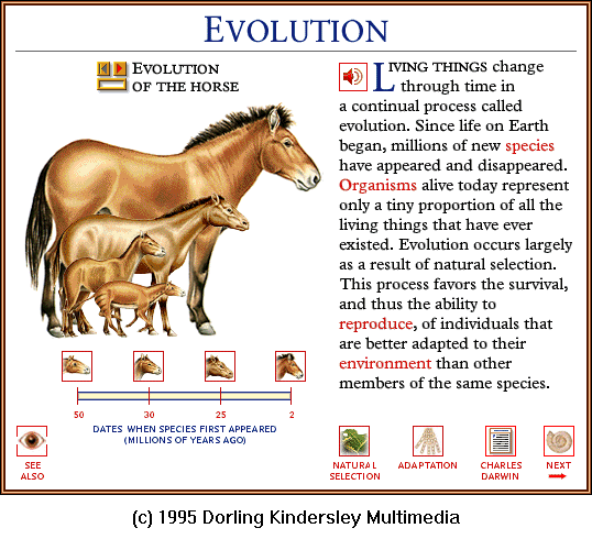 [DKMMNature-HorseEvolution00-AllForms.gif]