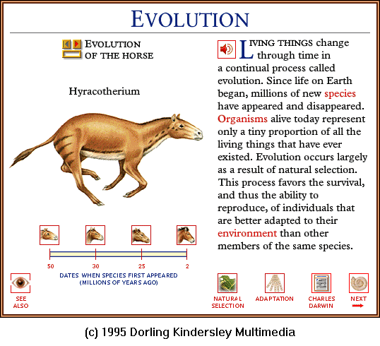 [DKMMNature-HorseEvolution01-Hyracotherium.gif]