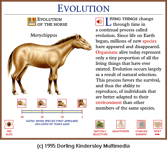 [DKMMNature-HorseEvolution03-Merychippus.gif]