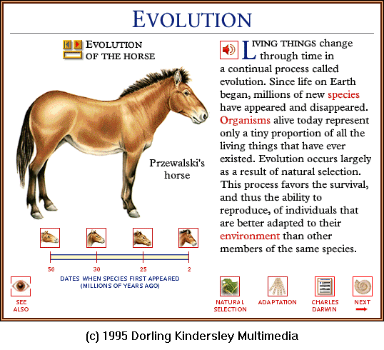 [DKMMNature-HorseEvolution04-Przewalski.gif]