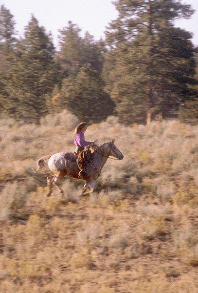 [LadyCowboy-Running-Horse-15410088.jpg]