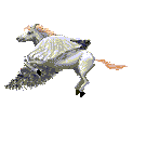 [Pegasus-FlyingHorse-animated.gif]
