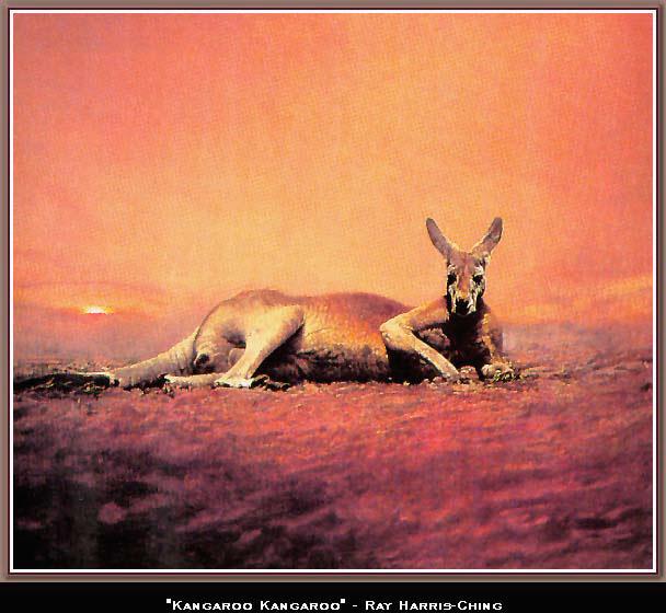 [Wswart104-Kangaroo-Relaxing.jpg]