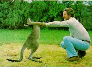 [kangaroo01-Dancing_with_man.jpg]