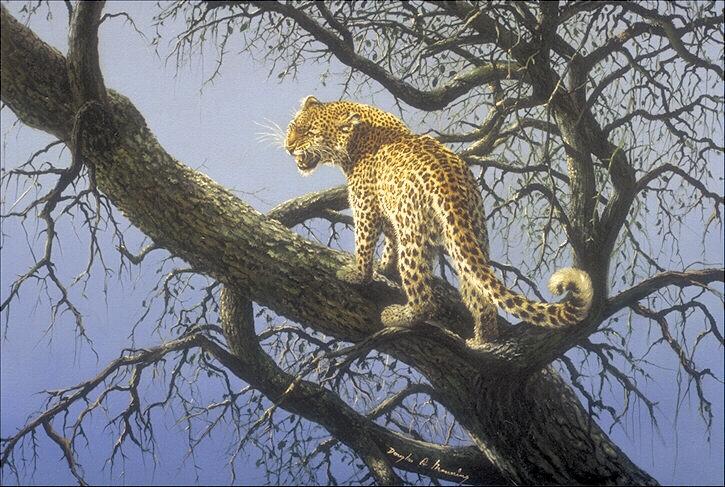 [leopard2-OnTree-Painting.jpg]