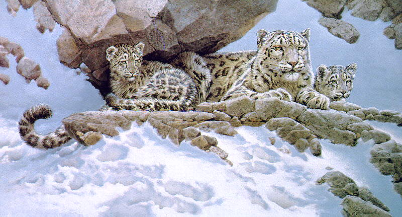 [Wswart27-SnowLeopards-Family-MomN2Cubs.jpg]