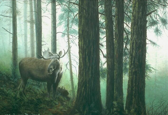 [moose2-InForest-Painting.jpg]