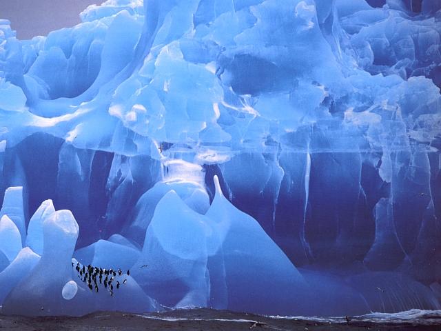 [Penguins_on_blue_iceberg.jpg]