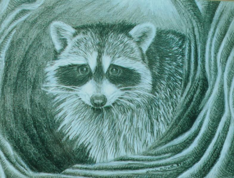 [raccoon_drawing.jpg]