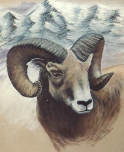 [Painting-BighornSheep-Ram-Portrait.jpg]