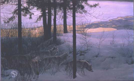 [GrayWolfPack-SnowForest-wolves-edge_of_night-rb.jpg]